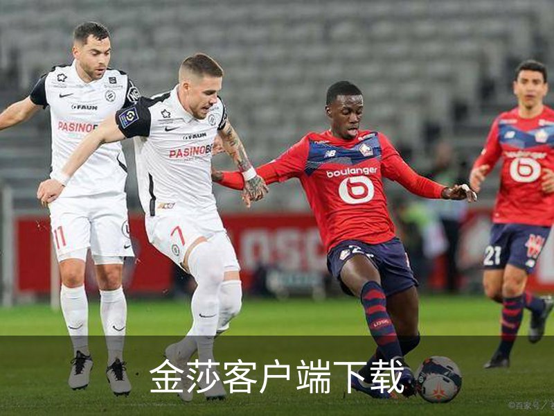 了解金莎客户端下载